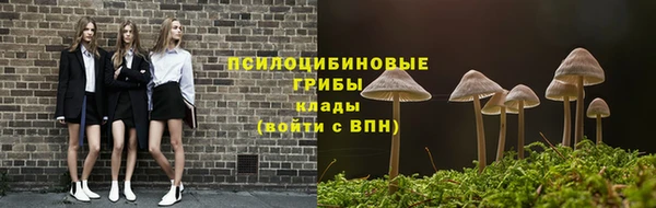 трава Белокуриха