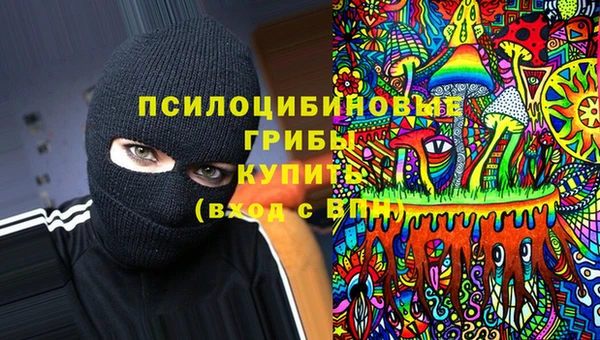 дмт Богданович