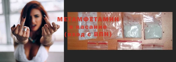 трава Белокуриха