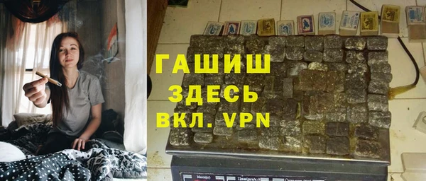 сатива Беломорск