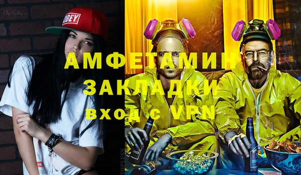 дмт Богданович