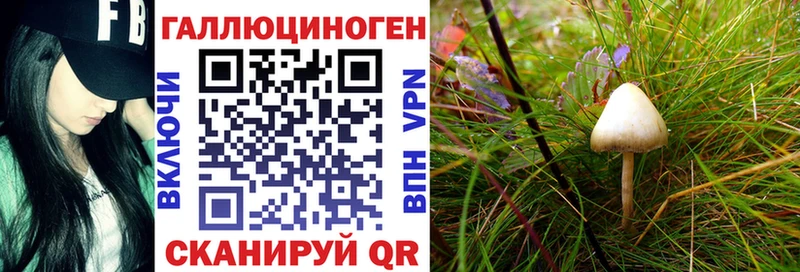 Псилоцибиновые грибы Magic Shrooms  Бугульма 